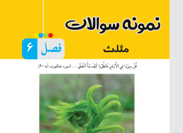 فصل ششم