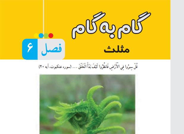 گام به گام فصل ششم رياضي هشتم